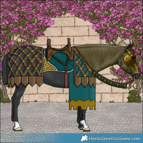 Horse Color:Black 