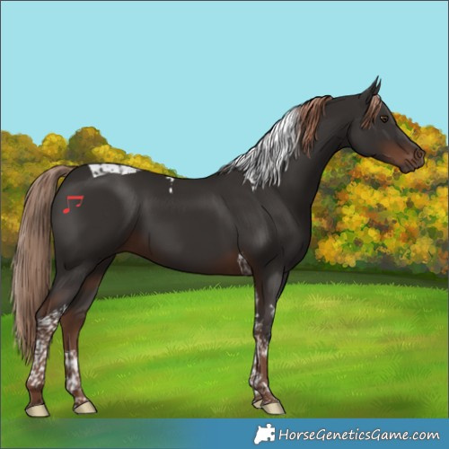 Horse Color:Liver Chestnut Tobiano 