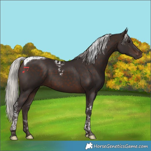 Horse Color:Silver Brown Tobiano 
