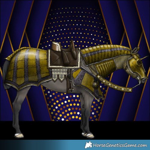 Horse Color:Grullo