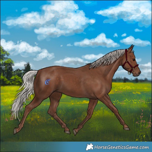 Horse Color:Silver Black 