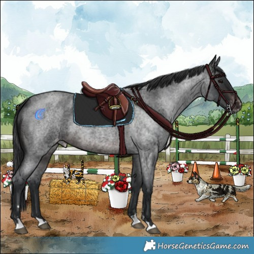 Horse Color:Brown Roan Varnish