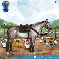 Horse Color:Gray White Spotted Bay Dun 