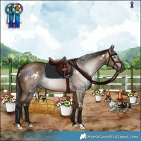 Horse Color:Gray White Spotted Bay Dun
