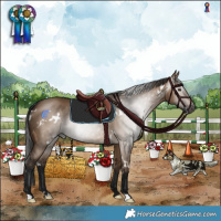 Horse Color:Gray White Spotted Bay Dun