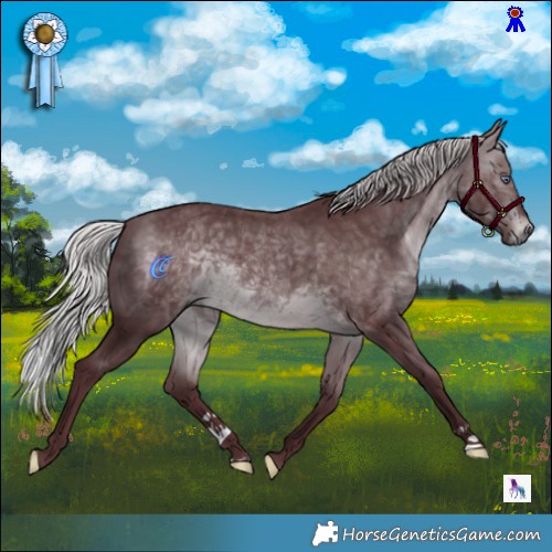 Horse Color:Chocolate Silver Brown Chinchilla Mushroom 
