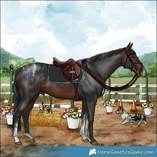 Horse Color:Powder White Brown