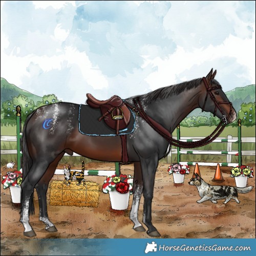Horse Color:Powder White Brown 