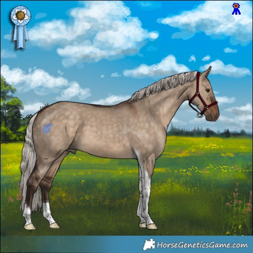 Horse Color:Silver Brown Dun Tobiano 