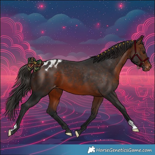 Horse Color:Bay Skewed LP Spotted 