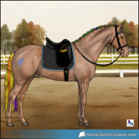 Horse Color:Painted Chestnut Skewed LP Spotted