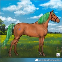 Horse Color:Painted Silver Bay 