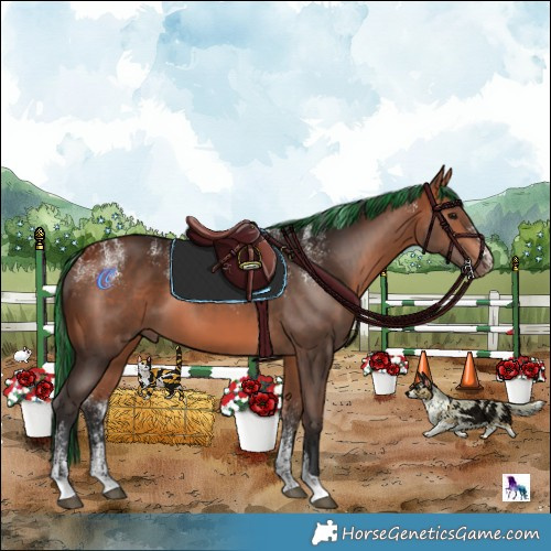 Horse Color:Powder White Painted Bay 