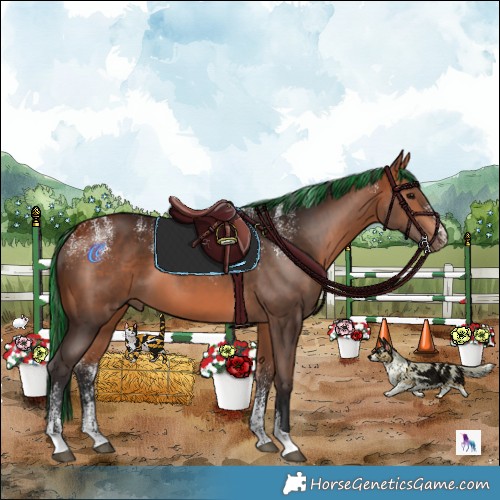 Horse Color:Powder White Painted Bay 