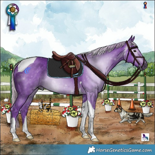 Horse Color:Gray Watercolor Silver Black Tobiano 