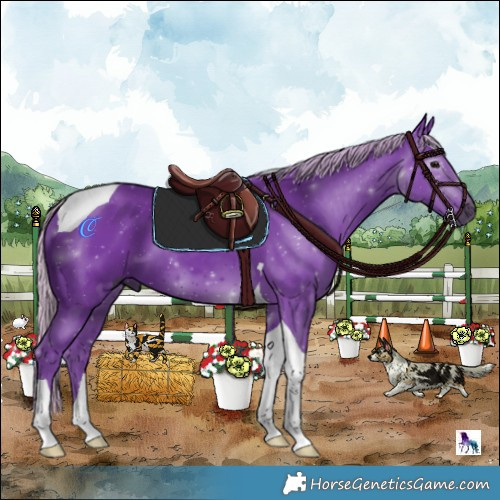 Horse Color:Gray Watercolor Silver Black Tobiano 