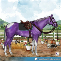 Horse Color:Gray Watercolor Silver Black Tobiano 