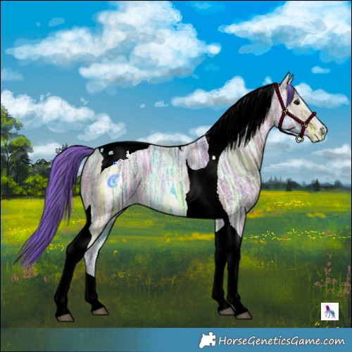 Horse Color:Watercolor Bay Ice Tobiano 