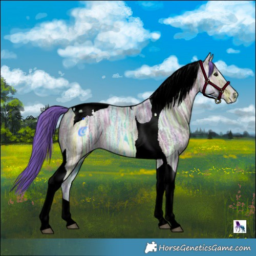 Horse Color:Watercolor Bay Ice Tobiano