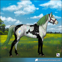 Horse Color:Watercolor Bay Ice Tobiano