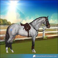 Horse Color:Brown Roan Skewed LP Spotted Rabicano 