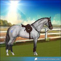 Horse Color:Brown Roan Skewed LP Spotted Rabicano