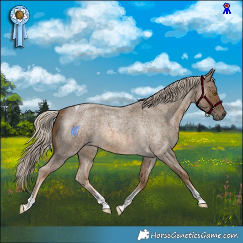 Horse Color:Chocolate Palomino Roan Tobiano