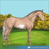 Horse Color:Silver Amber Champagne Frame