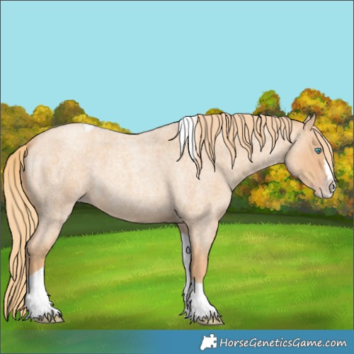 Horse Color:Gold Champagne Roan Splash Tobiano 