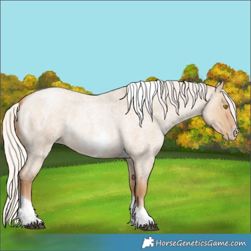 Horse Color:Silver Grullo Roan Pearl Tobiano Frame 