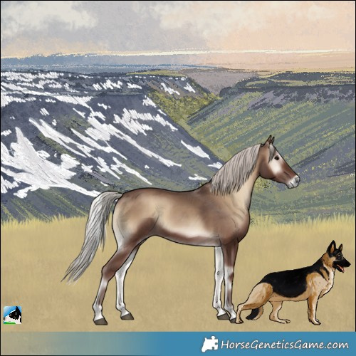 Horse Color:Silver Blue Onyx 