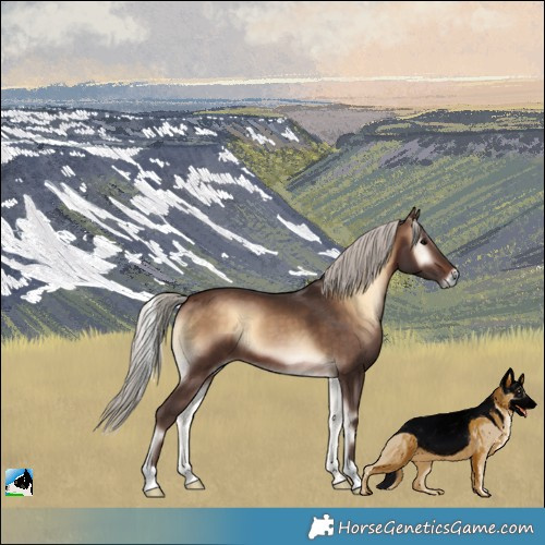 Horse Color:Silver Brown Onyx 