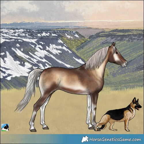 Horse Color:Silver Brown Onyx 