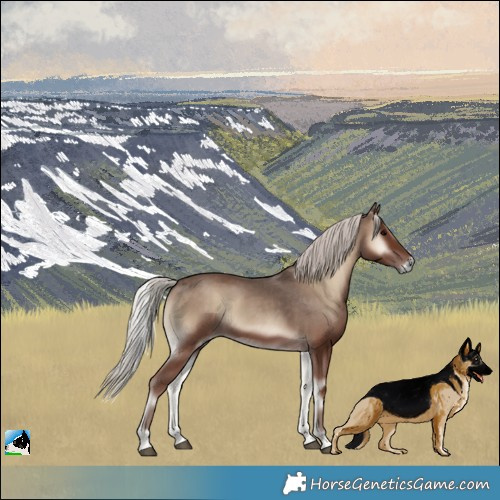 Horse Color:Silver Blue Onyx 