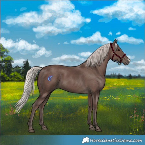 Horse Color:Silver Black Frame 