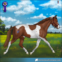 Horse Color:Chestnut Tobiano 
