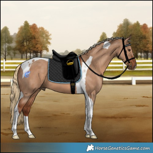 Horse Color:Red Dun Tobiano 