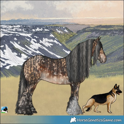Horse Color:White Spotted Chocolate Palomino Pearl Rabicano and Brown Sabino Rabicano