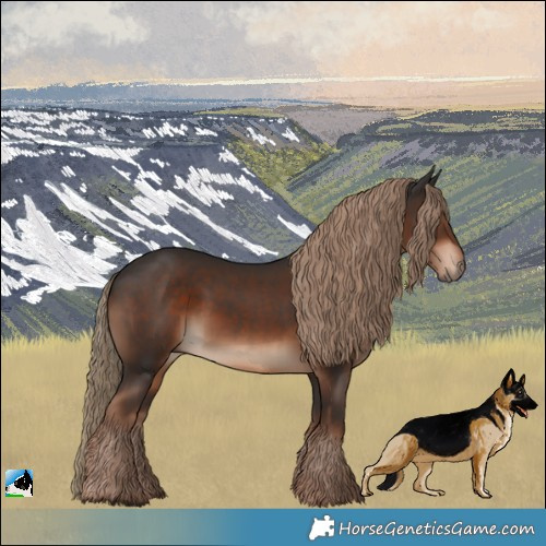 Horse Color:White Spotted Liver Chestnut Rabicano 