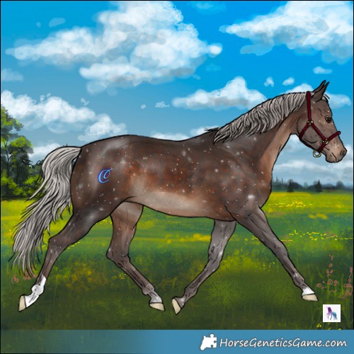 Horse Color:Silver Brown 