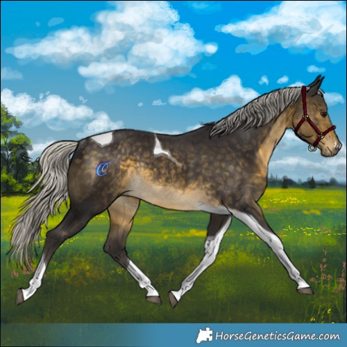 Horse Color:Silver Buckskin Tobiano Rabicano 