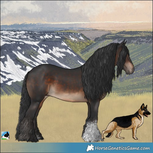 Horse Color:Brown Sabino Rabicano 