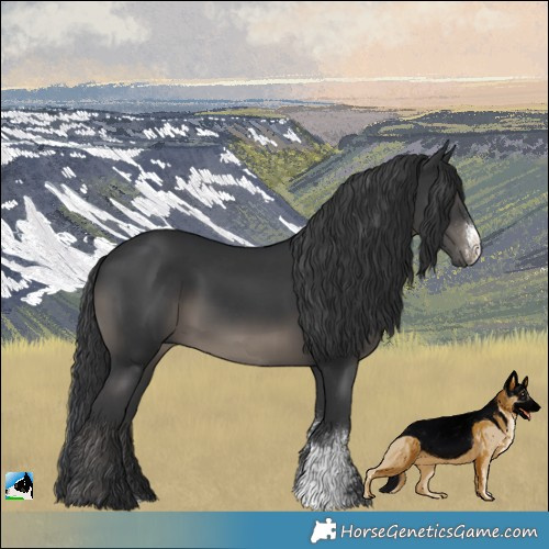 Horse Color:Black Sabino Rabicano 