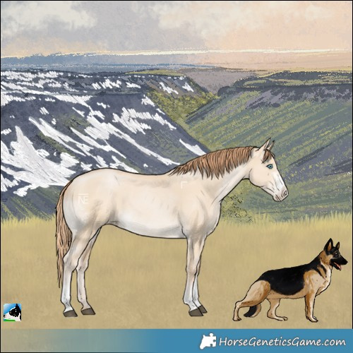 Horse Color:Smoky Grullo Pearl Sabino Tobiano Rabicano