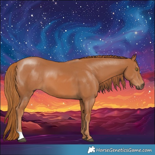 Horse Color:Chestnut 