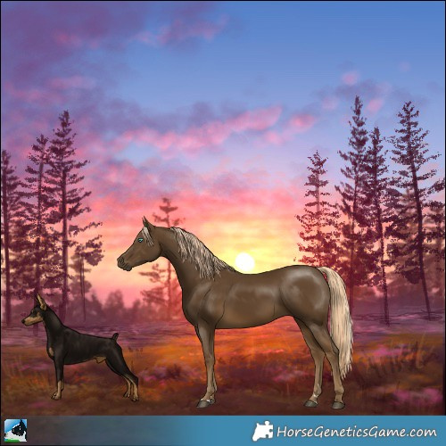 Horse Color:Pseudo Chocolate Palomino Mushroom 