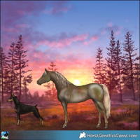 Horse Color:Pseudo Chocolate Palomino Mushroom 