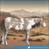 Horse Color:White Spotted Classic Champagne 