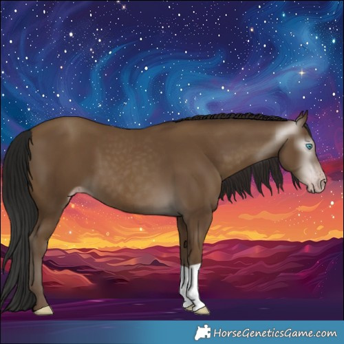Horse Color:Gray Classic Champagne