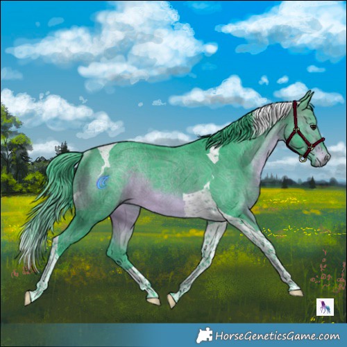 Horse Color:Watercolor Brown Tobiano Rabicano 